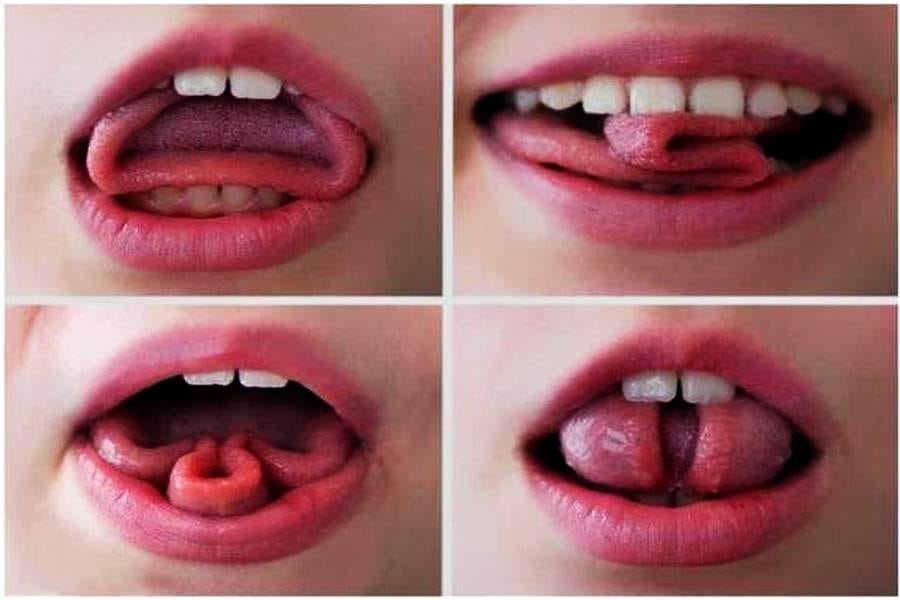 Trixie Tongue Tricks – What Are They ventsmagazines.co.uk