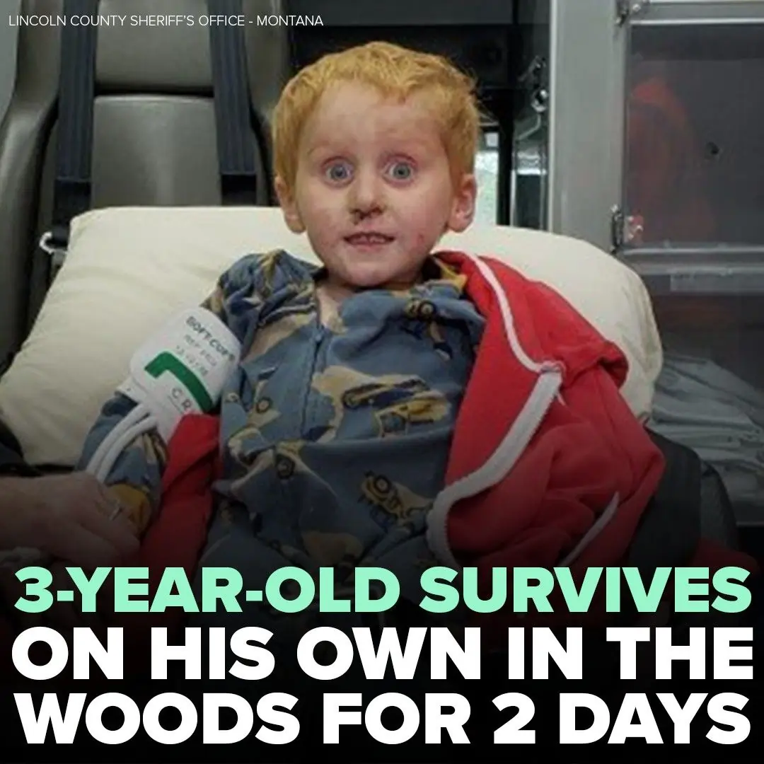 3-Year-Old Ryker Webb Survived Alone in the Wild, but Where Is He Now? ventsmagazines.co.uk