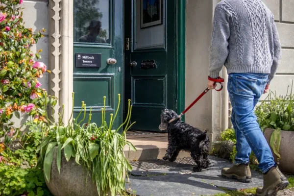 Best Countryside Retreats for You and Your Dog in the UK Countryside Ventsmagazines.co.uk