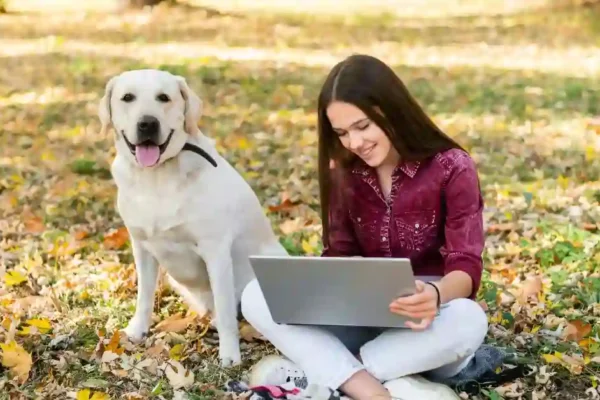 Pet5ardas com ventsmagazines.co.uk