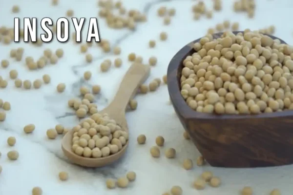 Why Everyone Is Switching to Insoya for Better Health Insoya ventsmagazines.co.uk