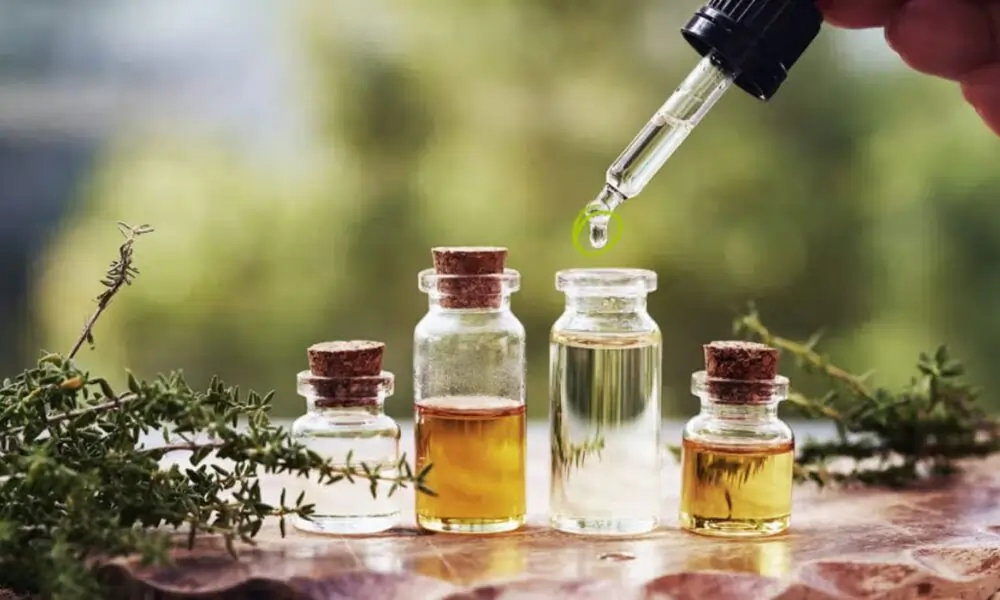 Eo Pis ventsmagazines.co.uk