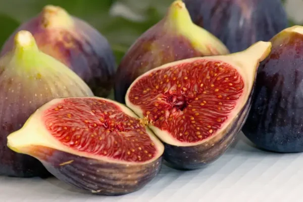 Byadi ventsmagazines.co.uk